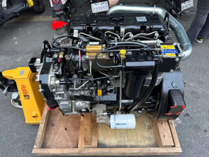 Brand-New Diesel Engine 3054C Excavator 3054 Engine Assembly
